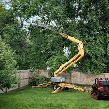 Artificial Turf Installation in Sumter, SC